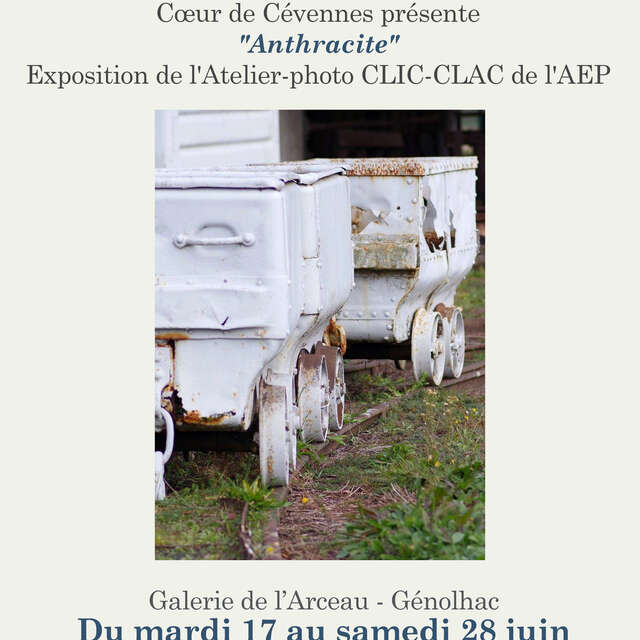 Expo à la Galerie de l'Arceau - Génolhac