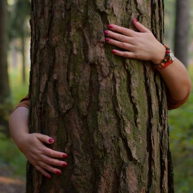Forez'pirer - Bain de forêt en Livradois-Forez