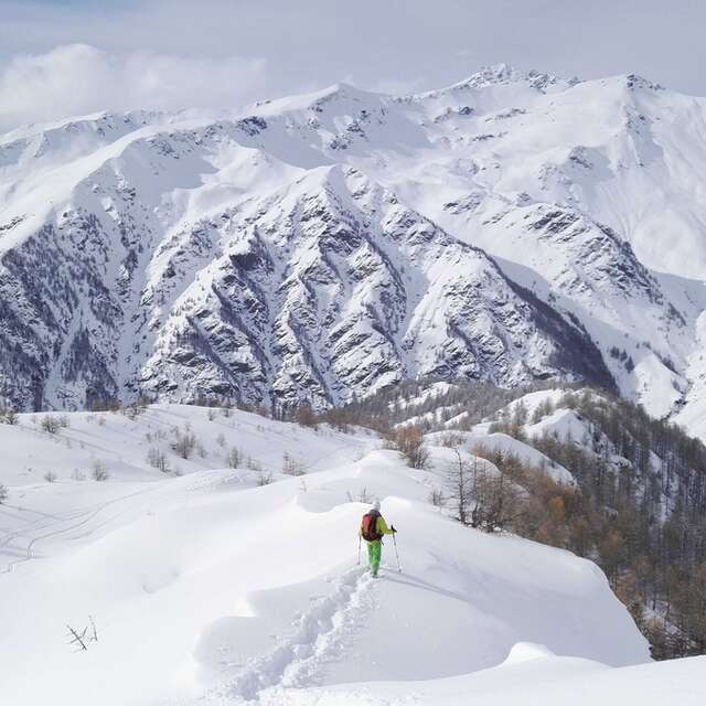 Sur les traces des chamois