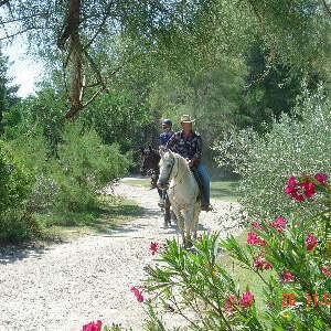 Balade à cheval à la Bergerie d'Alivon