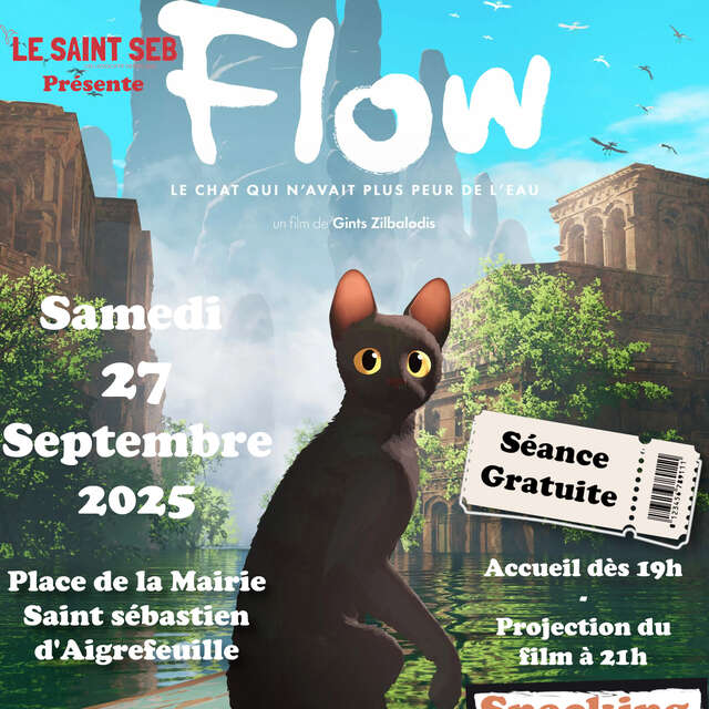 Cinéma en plein air