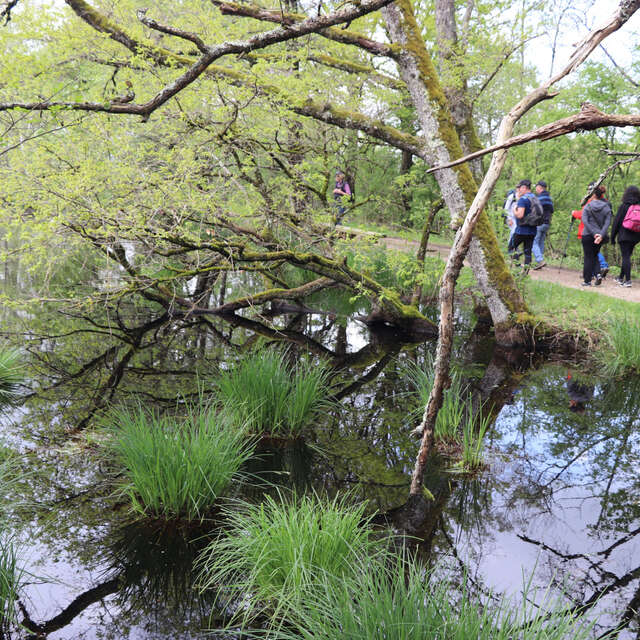 Expérience sensorielle au marais de Bizadan