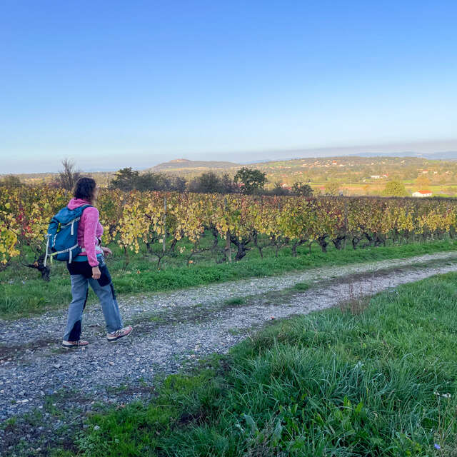 Marche solidaire organisée par Emmaüs