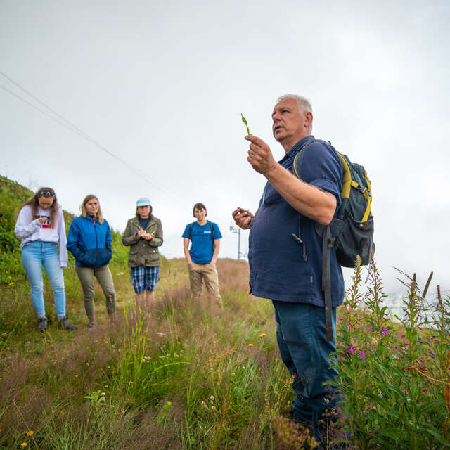 Wandeling langs de geneeskrachtige planten van de Mont Chéry