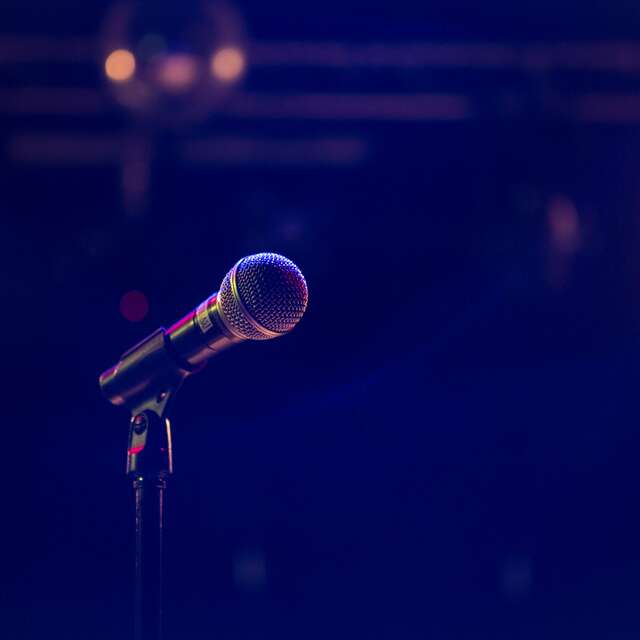 Karaoke at the Green Monkey Pub