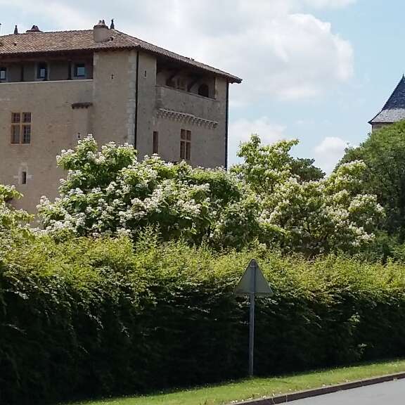 Balade à gyropode Château de Saint Bernard