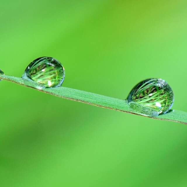 Spectacle 'Petite Source'