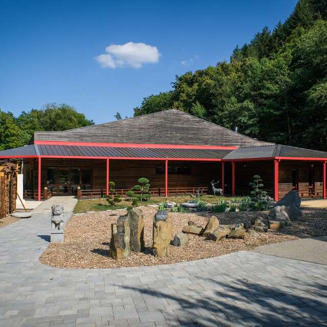 Sortie découverte "Visite de l'Académie Autonome d'Aïkido" - Bourg-Argental