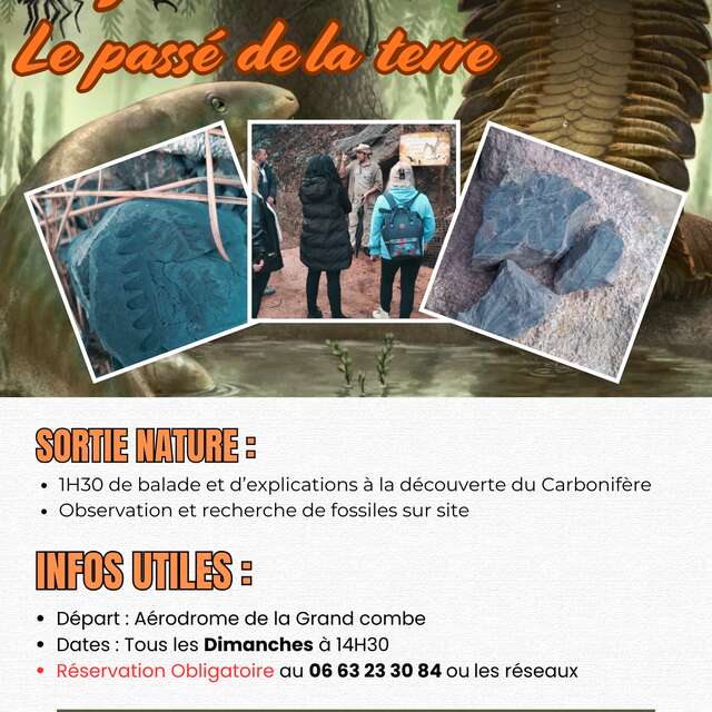 Explorez le passé de la terre : Le Carbonnifère