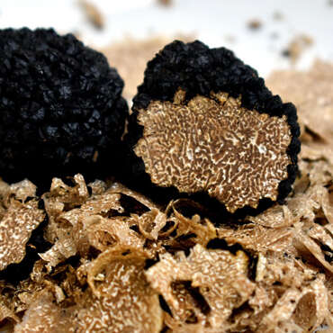 Menu autour de la truffe