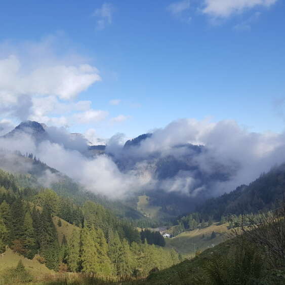 Parcours trail 30 vert : Autour de la Cheurgne