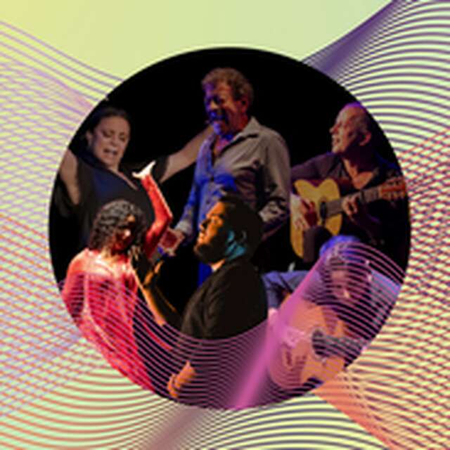 Noche de Arte Flamenco