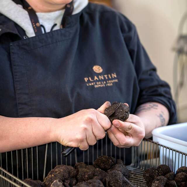 Open house at Maison Plantin Truffes