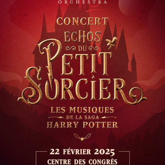 Concert : Neko Light Orchestra - Echos du Petit Sorcier