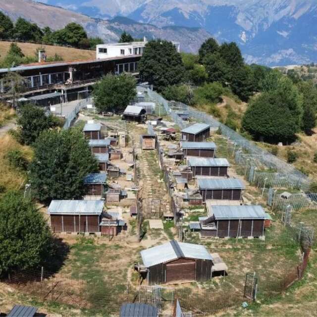 Visite du Chenil