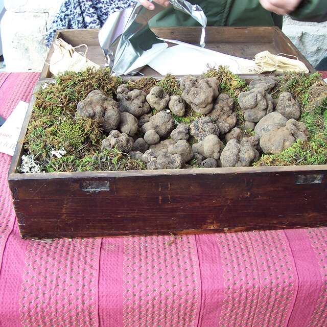 Marché aux Truffes d'hiver