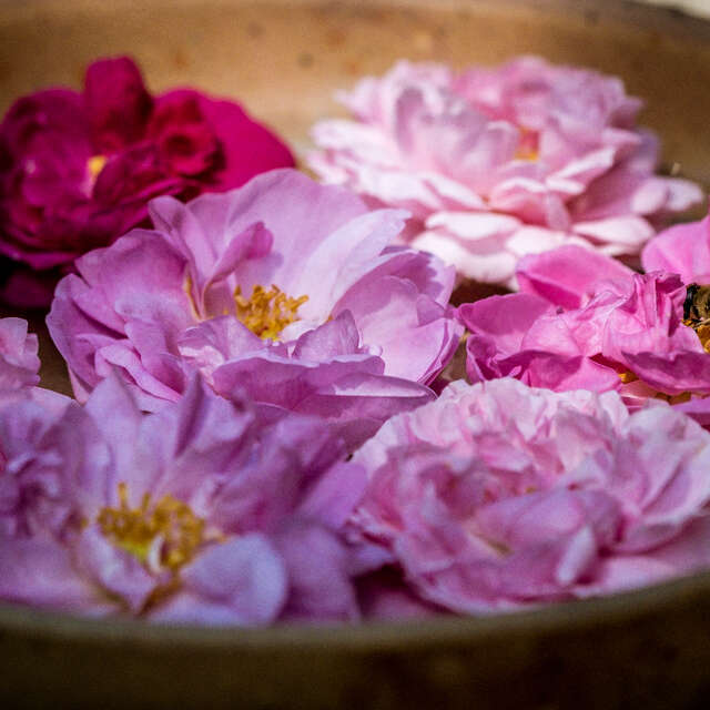 Visite le val des roses