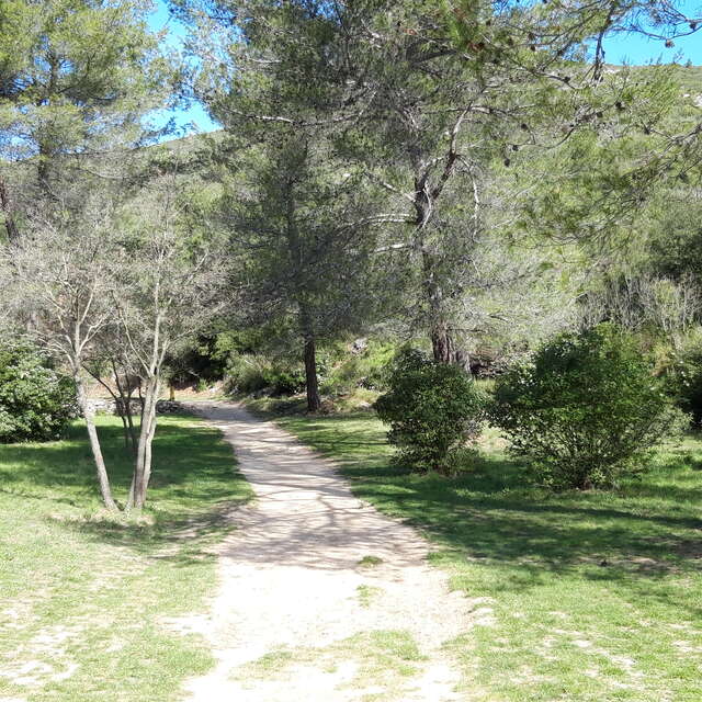 Vos bâtons à la Font de mai