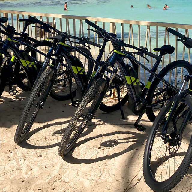Speed-Bike Moorea