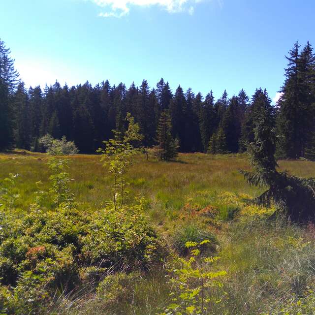 Lake Les Saisies