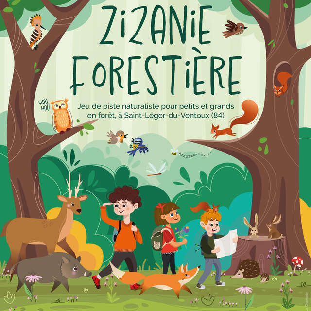 Zizanie forestière - jeu de piste naturaliste avec Ecovirado
