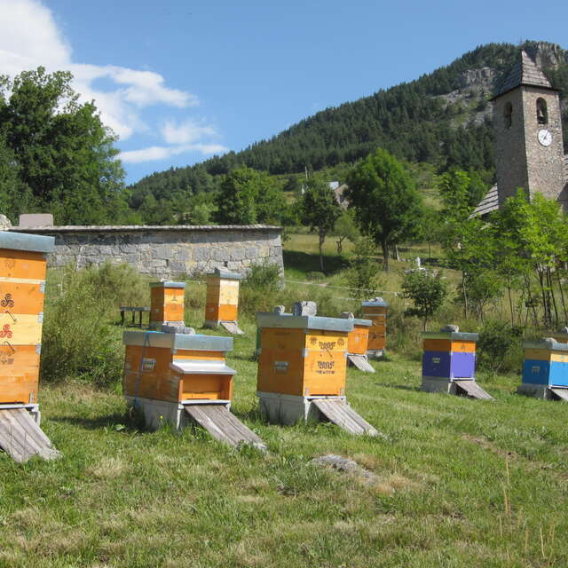 LES MAGICIENS DE LA RUCHE