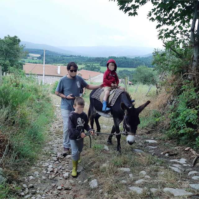 Randos pays'ânes - hiking in the company of a donkey