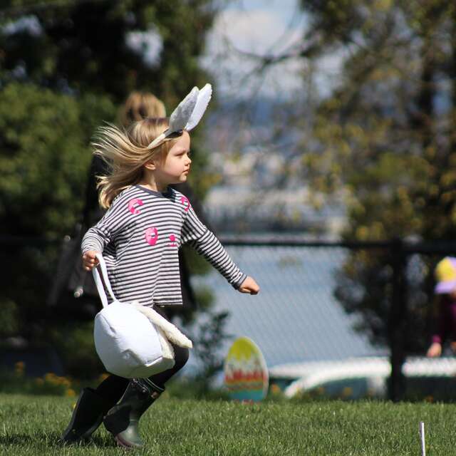 Chasse aux œufs à Villaverde