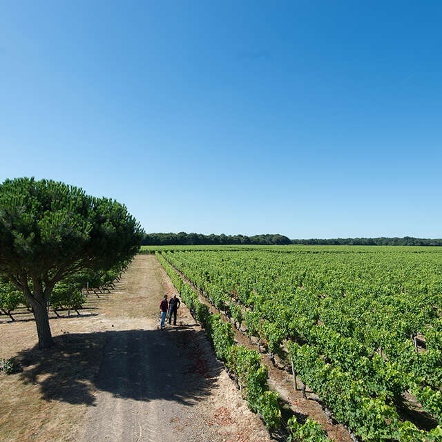 DOMAINE DES GIRAUDIÈRES