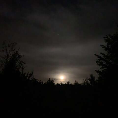 Le creux de la nuit