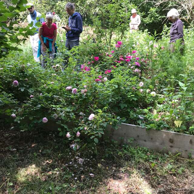 Découverte de jardins en agroforesterie et séjours immersifs