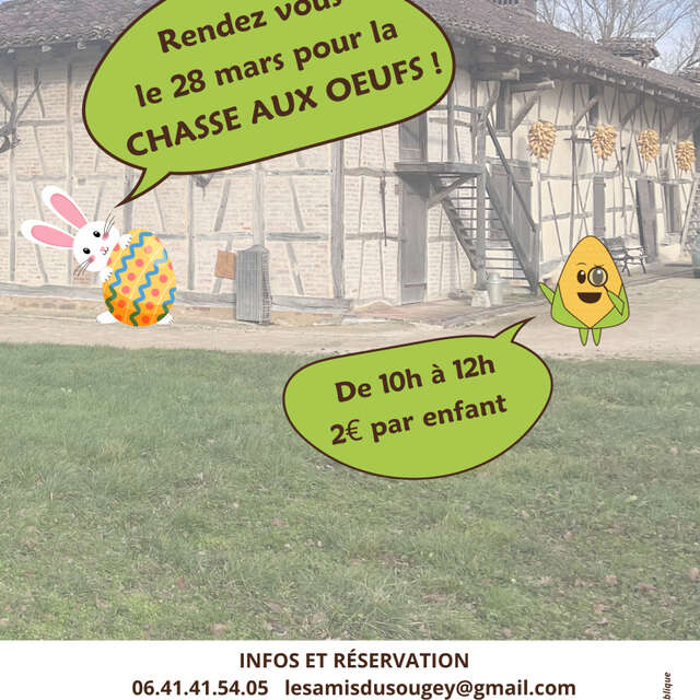 Chasse aux oeufs