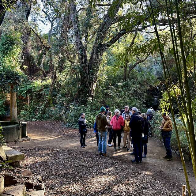 Visite thématique "Balade botanique au fil des saisons"