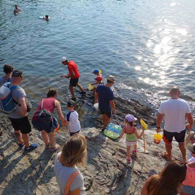 Le petit parcours du littoral (visite guidée spécial enfants)