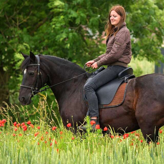 Les pierres d'antan - circuit équestre