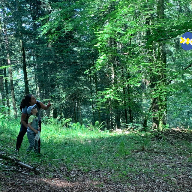 Chasse aux œufs au Parc Oyoxygène