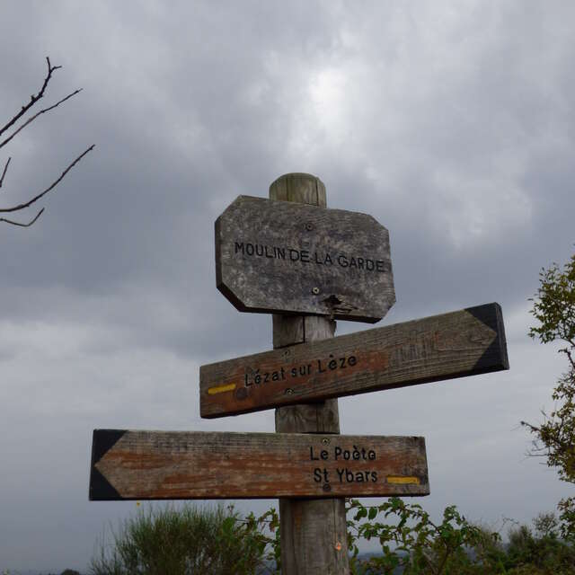 Le chemin de l'âne gris