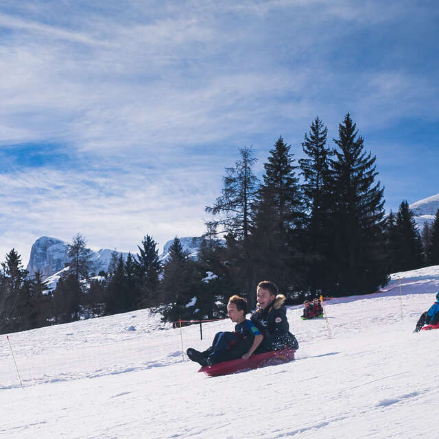 Human curling sled challenge