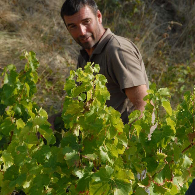 Domaine Combe Julière