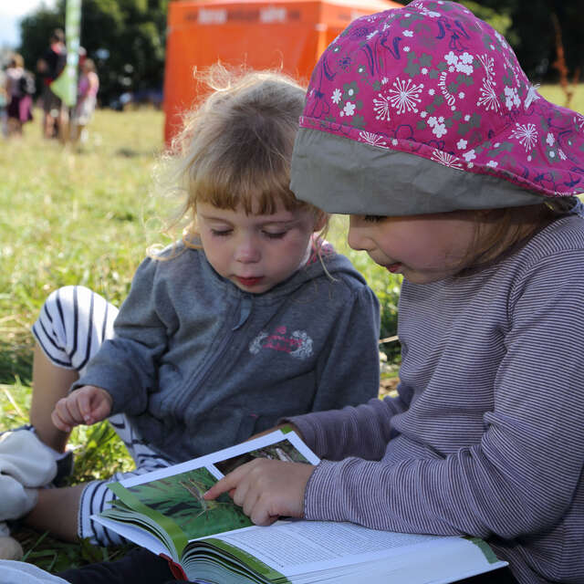 Activité : "Crèche nature"