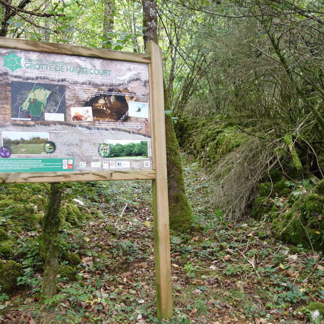 A la découverte du patrimoine naturel et historique de la RNN Grotte de Hautecourt