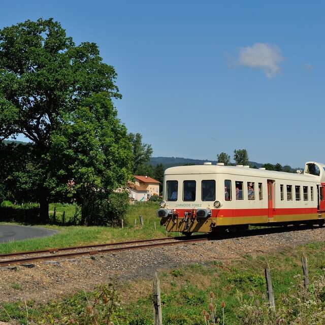 Train - Chasse aux oeufs