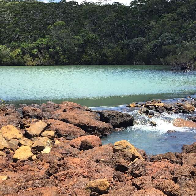 Creek Pernod - New Bridge Waterhole