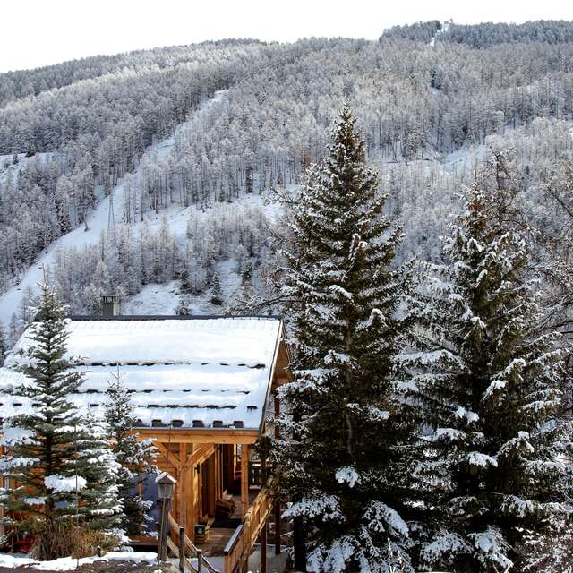 Chalet les Soldanelles