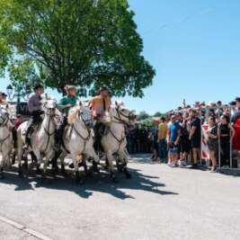 Feria - Festival d’abrivados