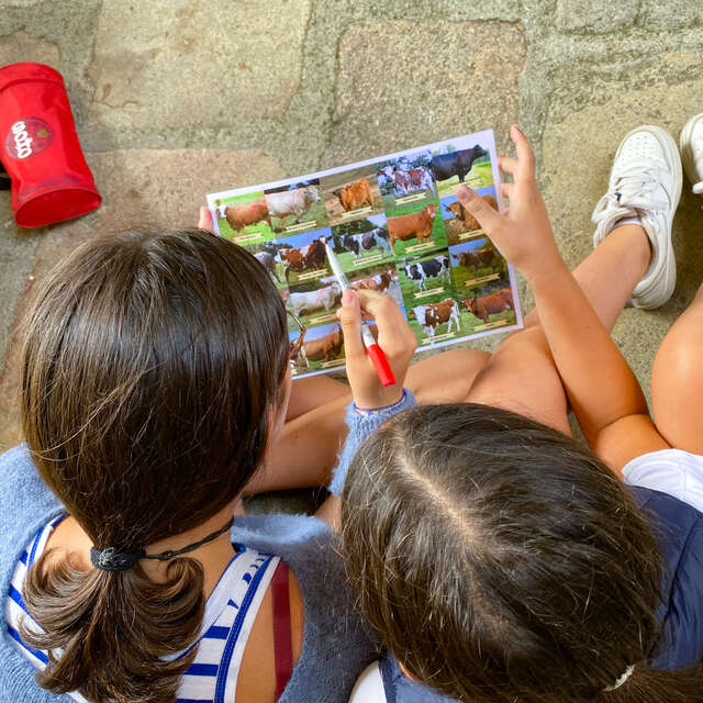 Recherche vaches désespérément - animation famille