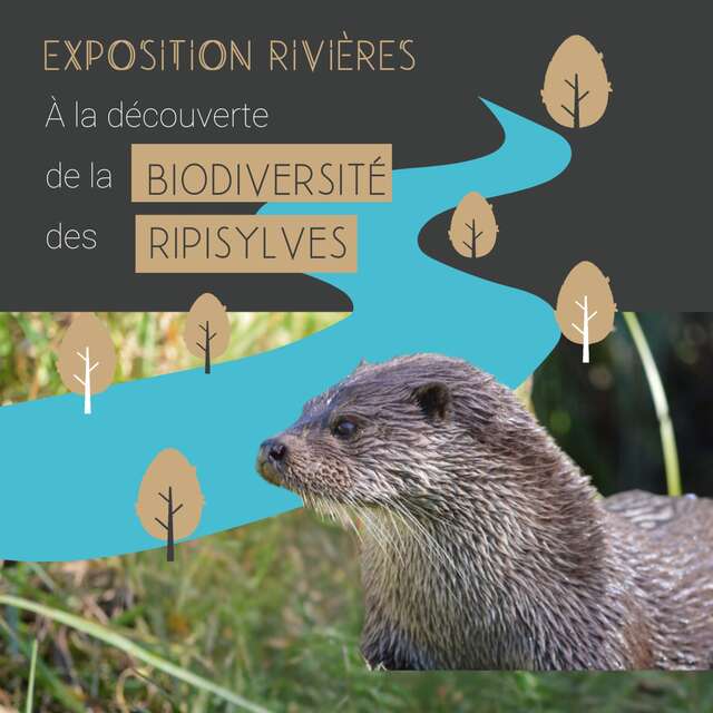 [EXPOSITION] À la découverte de la biodiversité des ripisylves