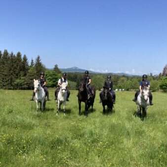 Equitation