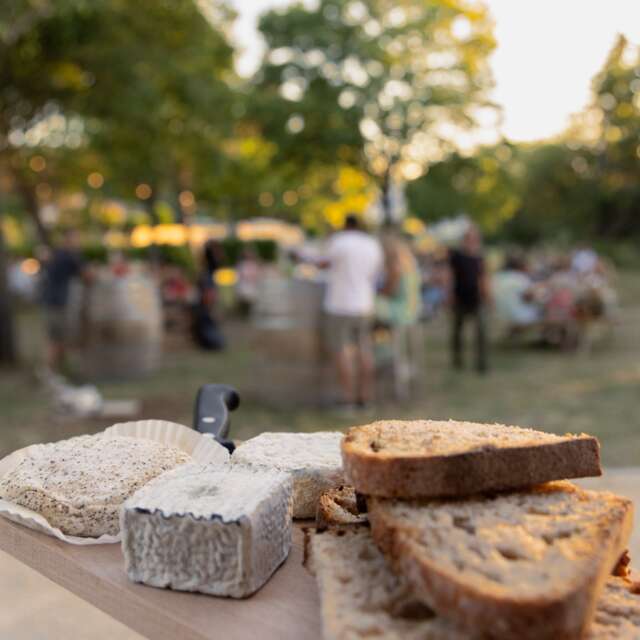 Festivals Ventoux Saveurs - Atelier accord vins et fromage/bières et fromages - Cave les Collines