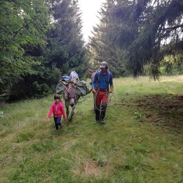 Florent Armand - accompagnateur en montagne - rando avec les ânes